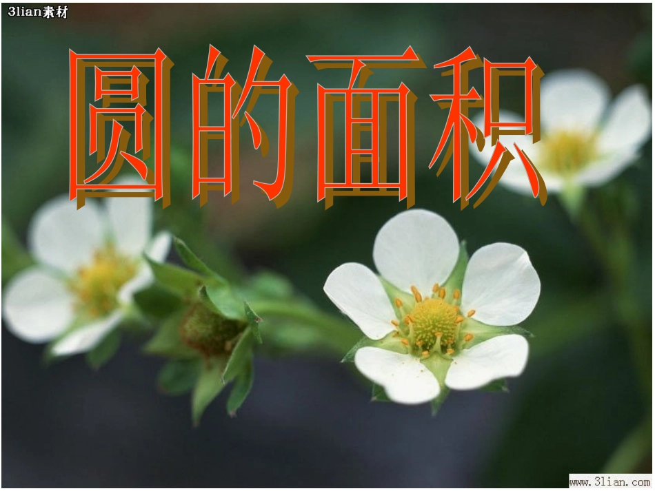 圆的面积公式推导-(2)_第1页