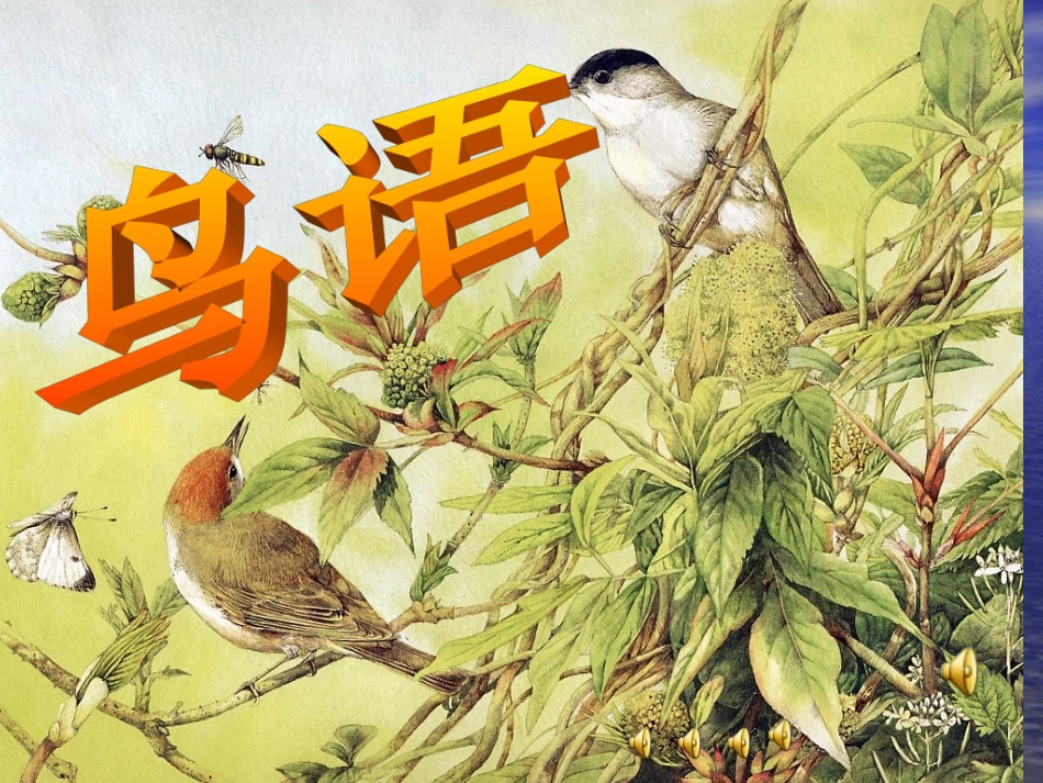 《鸟语》优质课件121_第1页