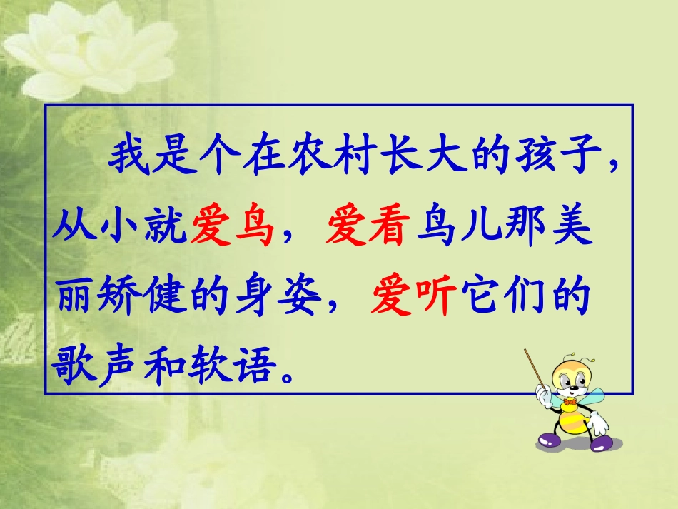 《鸟语》优质课件121_第3页