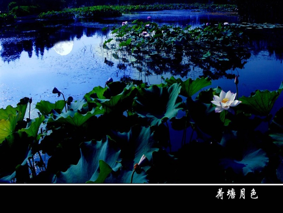 13-宇宙的边疆-(4)_第2页