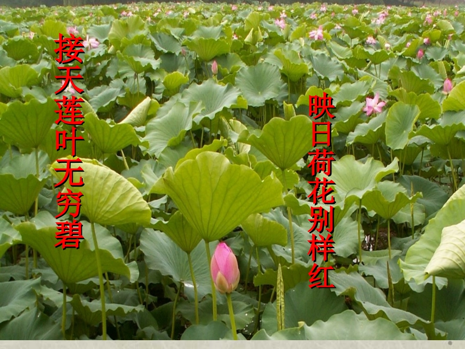 13-宇宙的边疆-(4)_第3页