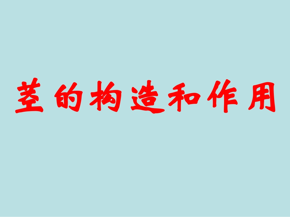 茎的构造和作用_第1页