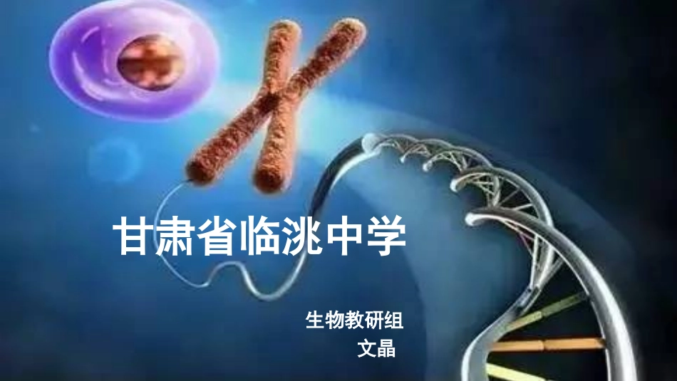 第2节基因的自由组合规律-(2)_第1页