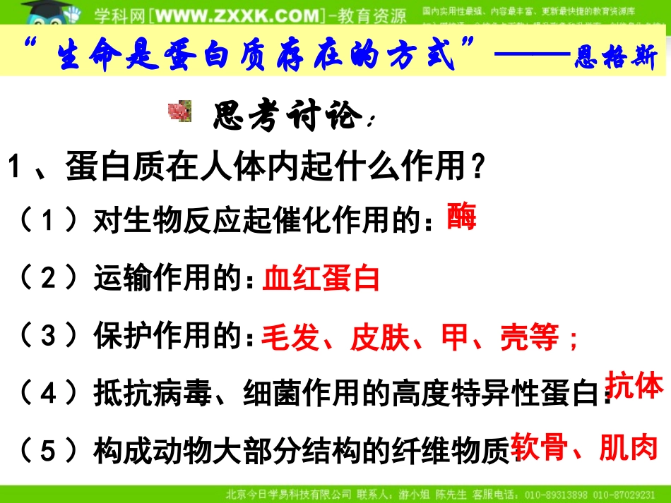第二单元氨基酸蛋白质核酸-(4)_第2页