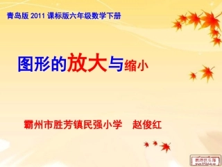 相关链接(图形的放大和缩小)