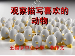 积累与运用(三)