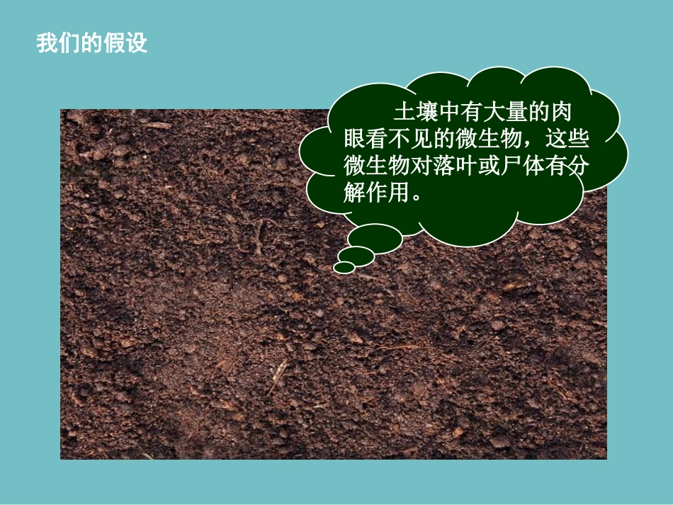 第三节原核生物姐_第3页