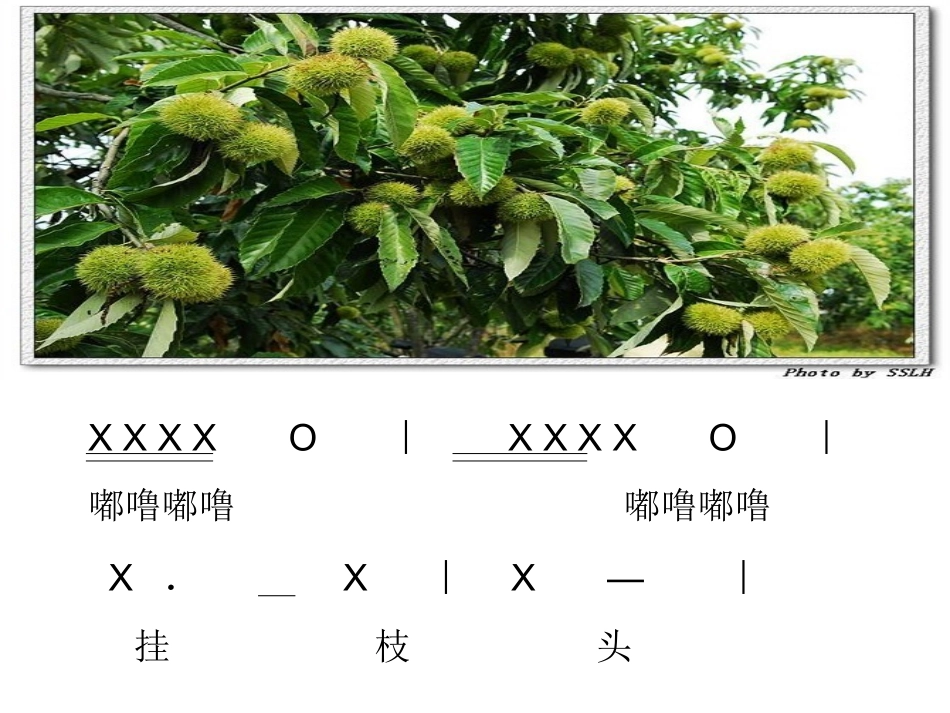 (演唱)栗子大丰收_第3页