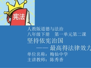 坚持依宪治国