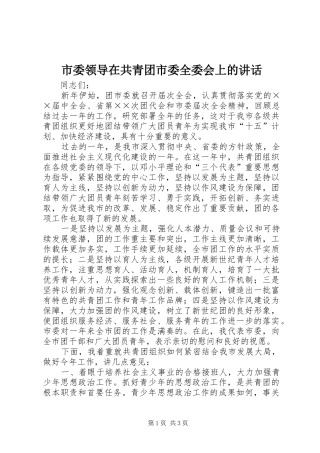 市委领导在共青团市委全委会上的讲话发言