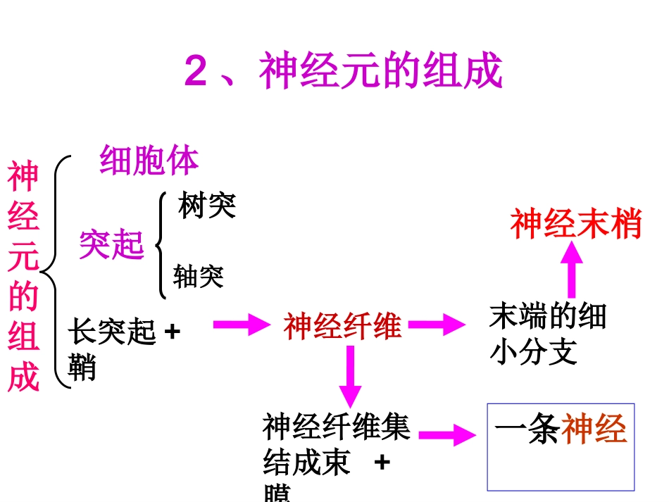第三节神经调节的基本方式-(4)_第2页