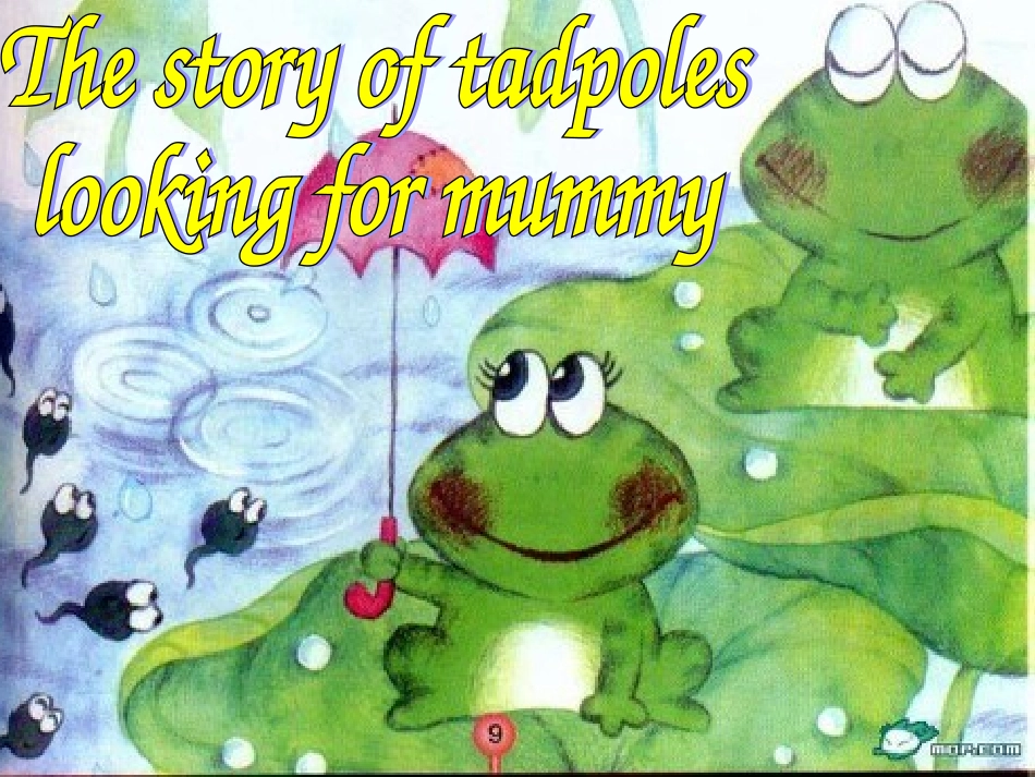 小蝌蚪找妈妈_第1页