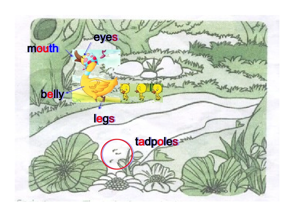 小蝌蚪找妈妈_第2页