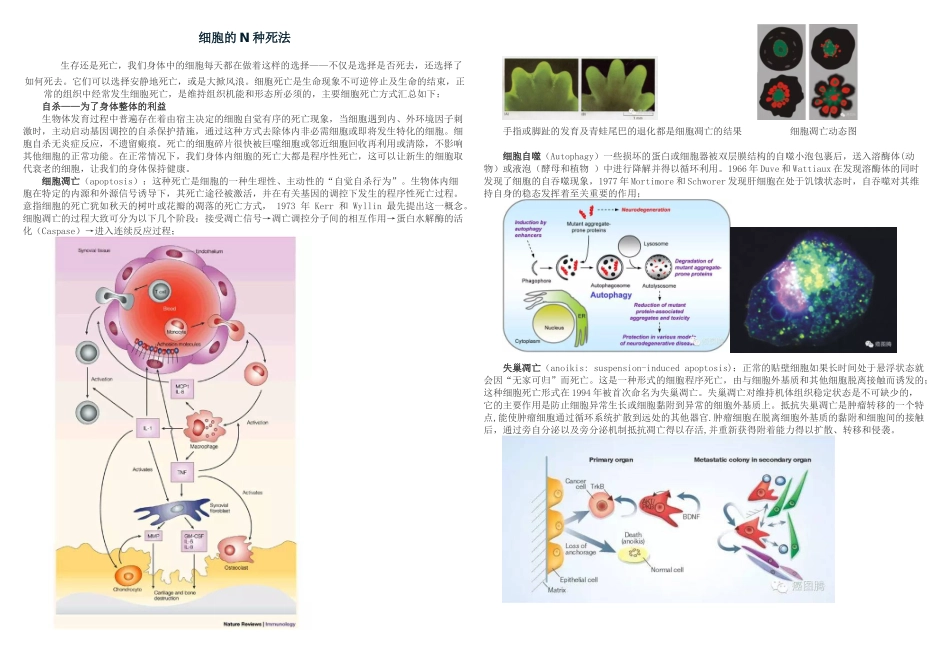 细胞的N种死法_第1页