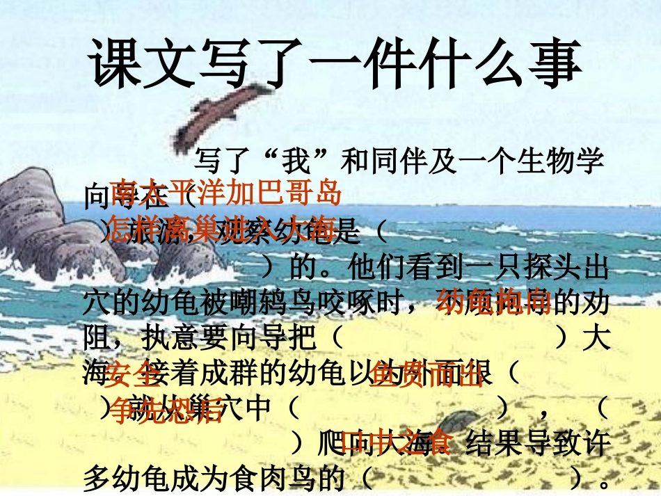 9.自然之道(完美版)_第3页