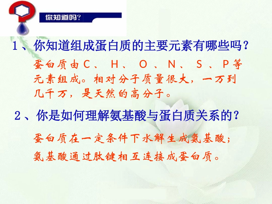 第二单元氨基酸蛋白质核酸_第2页