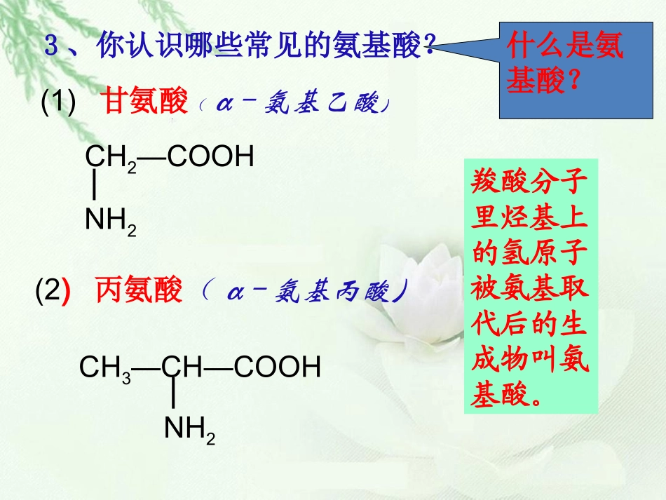 第二单元氨基酸蛋白质核酸_第3页