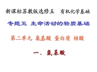 第二单元氨基酸蛋白质核酸