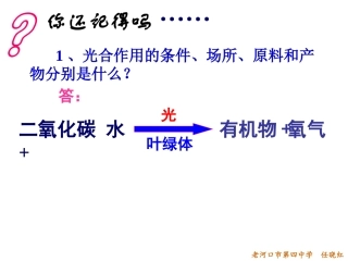 r3-5-2绿色植物的呼吸作用