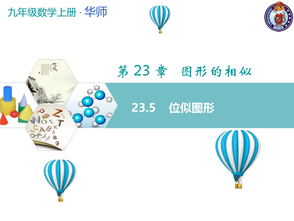 23.5位似图形_第1页