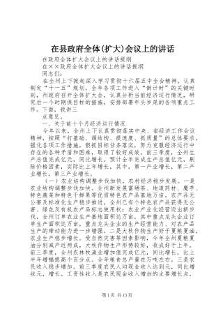 在县政府全体(扩大)会议上的讲话发言