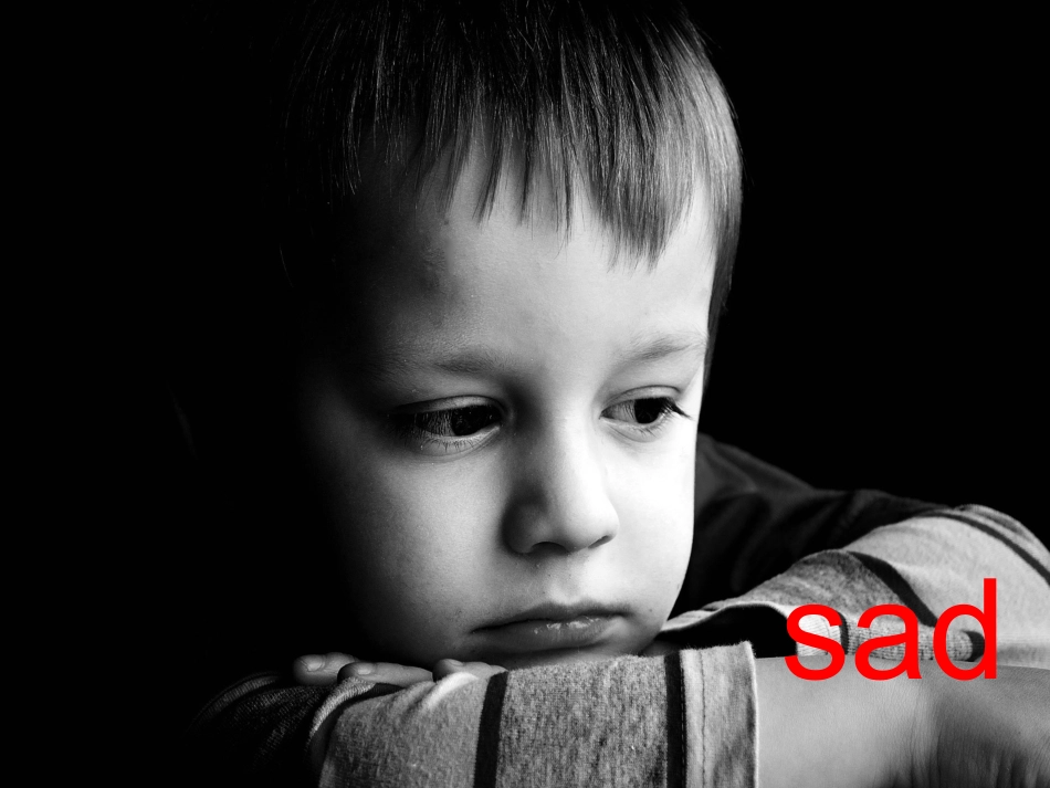 lesson16WarmandCool_第3页