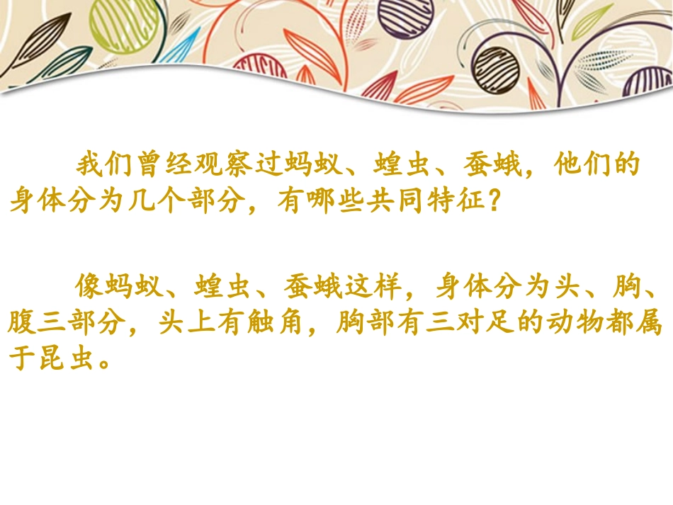 放大镜下的昆虫世界_第2页