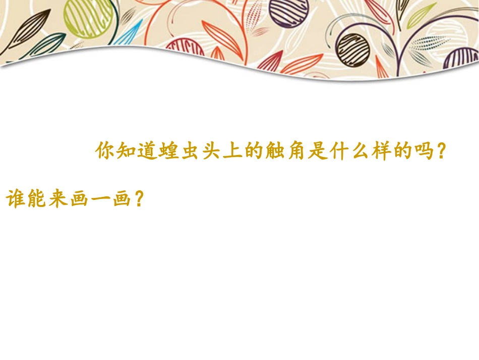 放大镜下的昆虫世界_第3页