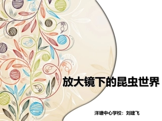 放大镜下的昆虫世界