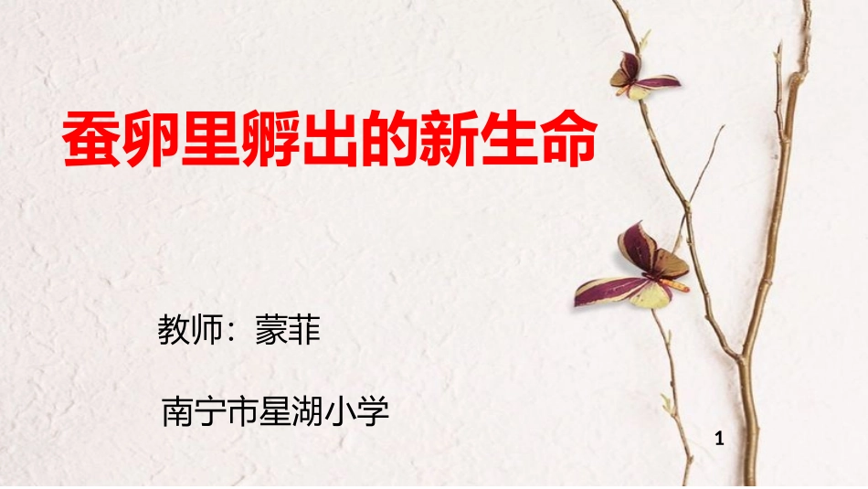 蚕卵里孵出的新生命_第1页