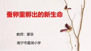 蚕卵里孵出的新生命