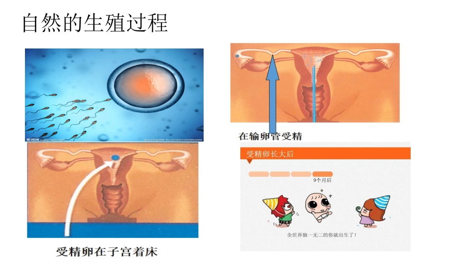 拓展视野-《人类辅助生殖技术规范》简介_第3页