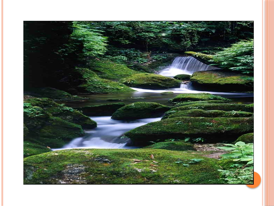 5大自然的语言-(2)_第2页