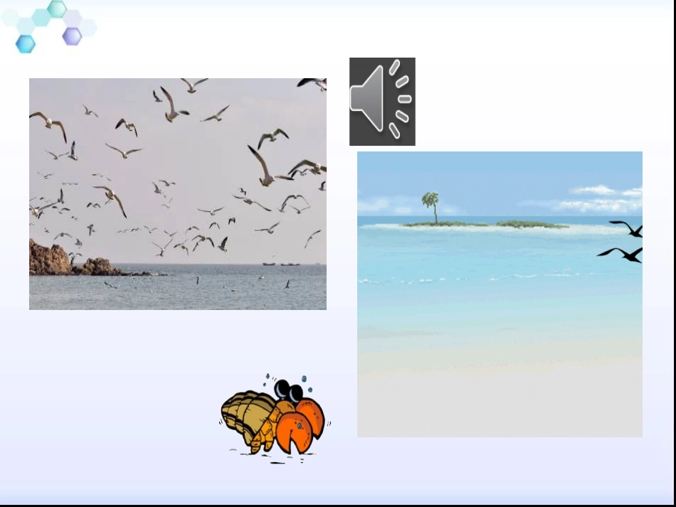 5大自然的语言-(2)_第3页