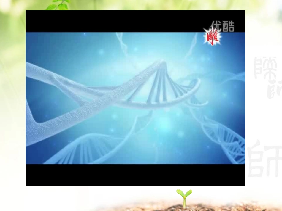 课题研究探究洗衣粉中的酶在洗涤中的作用_第2页