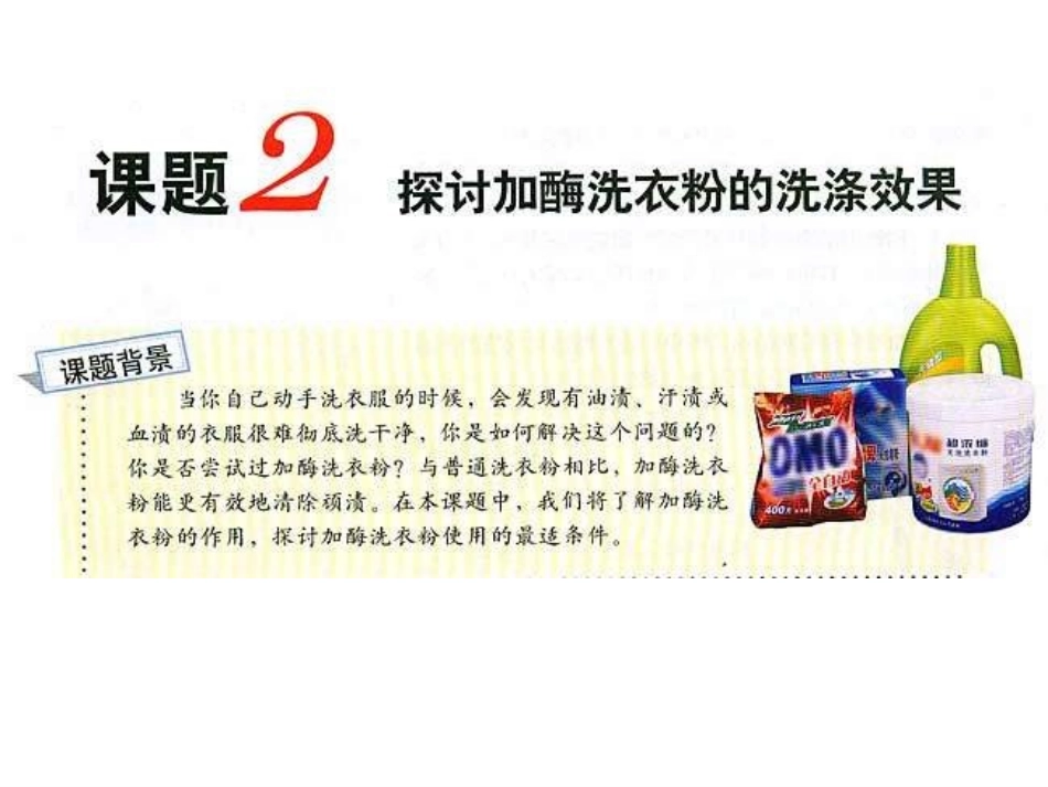 课题研究探究洗衣粉中的酶在洗涤中的作用_第3页