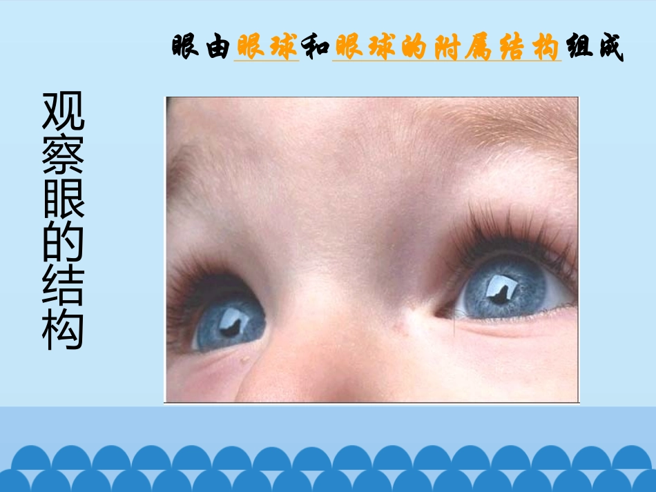 第三节感知信息_第3页