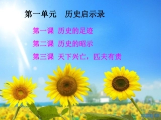 第一课历史的足迹-(2)