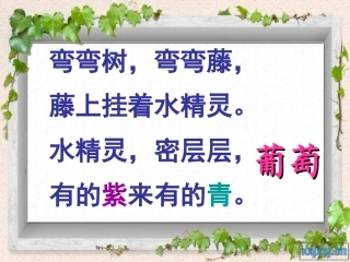 11葡萄沟-(3)