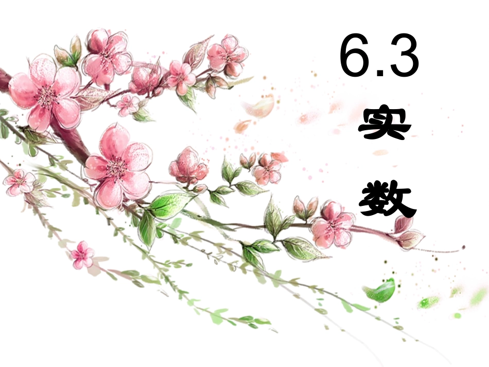 实数.3实数-(2)_第1页