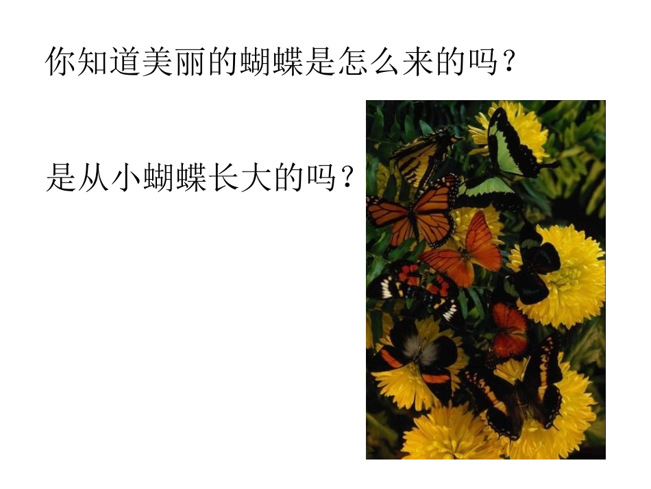 第三节昆虫的生殖与发育_第2页