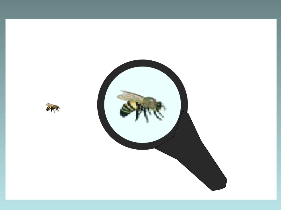 398图形的放大与缩小_第2页