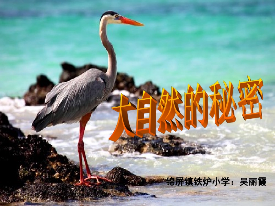 23自然之道_第1页