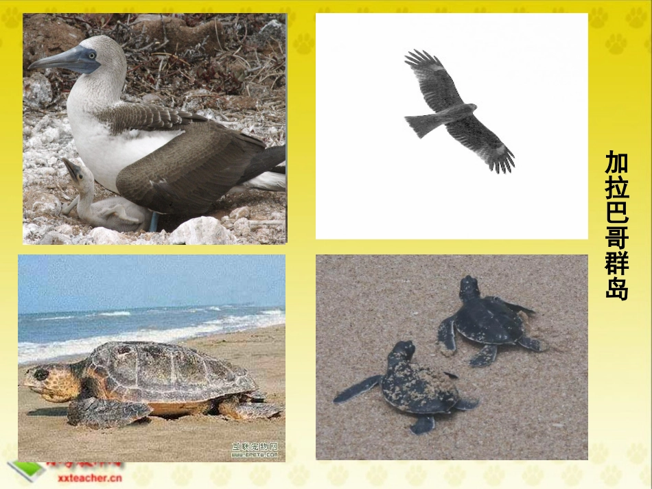 23自然之道_第2页