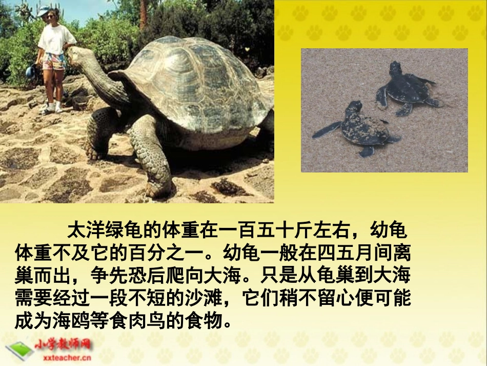23自然之道_第3页