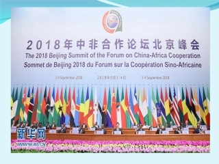 第三节-撒哈拉以南的非洲-(2)