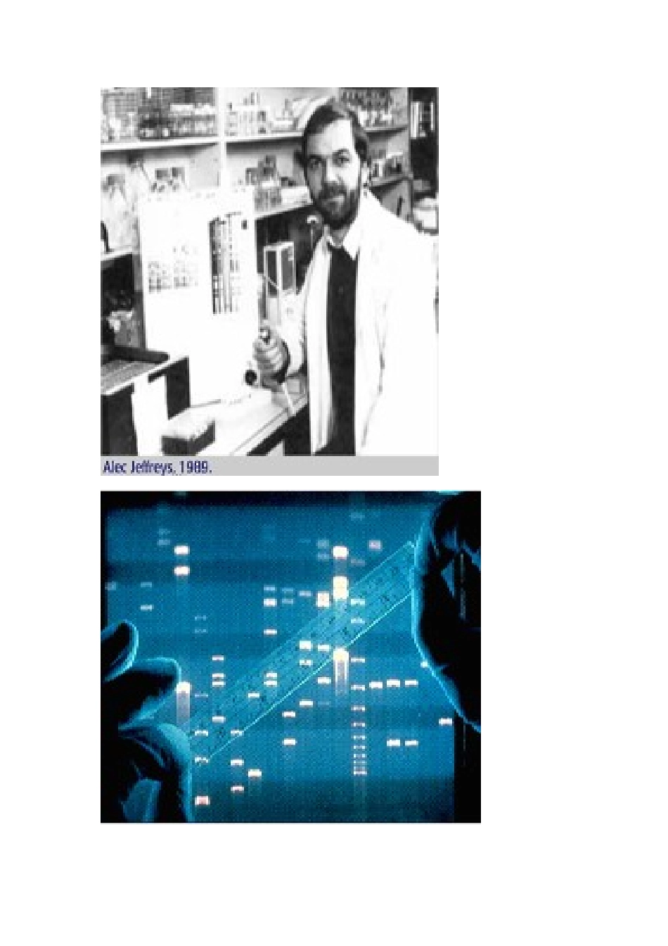 科学·技术·社会-DNA指纹技术_第1页