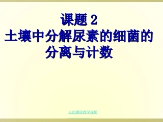 课题2-土壤中分解尿素的细菌的分离与计数