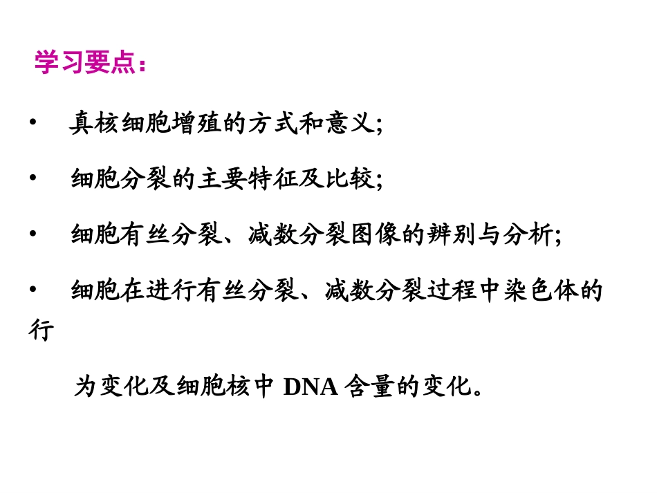 细胞周期与有丝分裂_第3页
