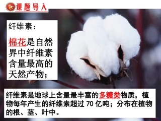 课题3-分解纤维素的微生物的分离-(8)